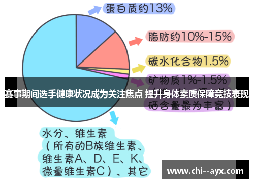 赛事期间选手健康状况成为关注焦点 提升身体素质保障竞技表现